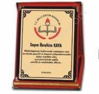 ALBÜM PLAKETLERİ
