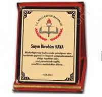 ALBÜM PLAKETLERİ