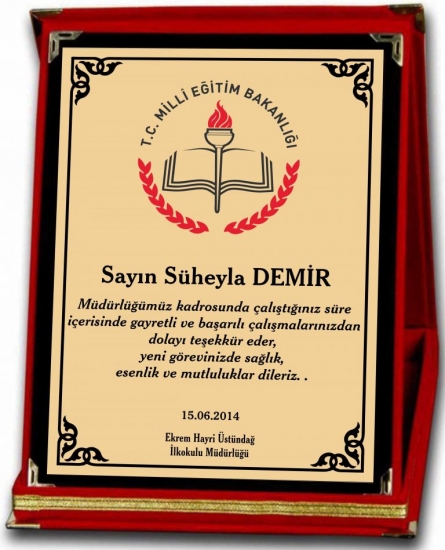 ALBÜM PLAKETLERİ